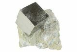 Natural Pyrite Cube In Rock - Navajun, Spain #231444-1